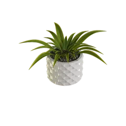 Detailed 3D model of a potted plant with textured leaves and geometric planter for interior rendering in Blender.