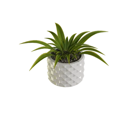 Detailed 3D model of a potted plant with textured leaves and geometric planter for interior rendering in Blender.