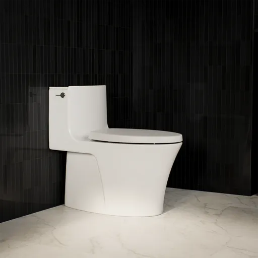 One Piece Toilet
