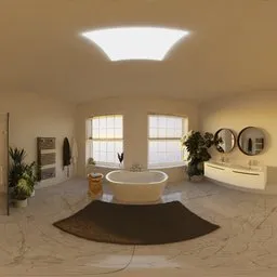 Big Bathroom Morning