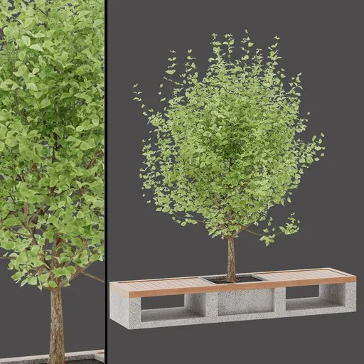 Tree Column Table