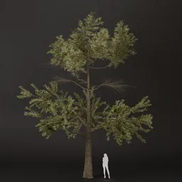 SJ-Soft Wind Pine Tree