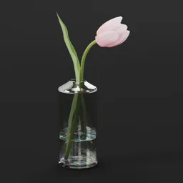 Ingle Pink Tulip