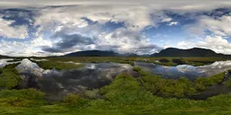 Wet Marsh Landscape Cloudy