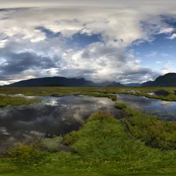 Wet Marsh Landscape Cloudy