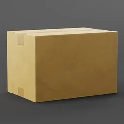 Rectangle Cardboard Box Closed