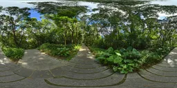 Cloudy forest during the day