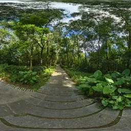 Cloudy forest during the day