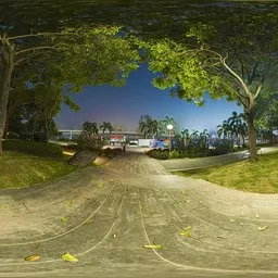 Night Trail