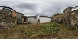 Abandoned Vegetable Garden