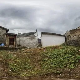 Abandoned Vegetable Garden