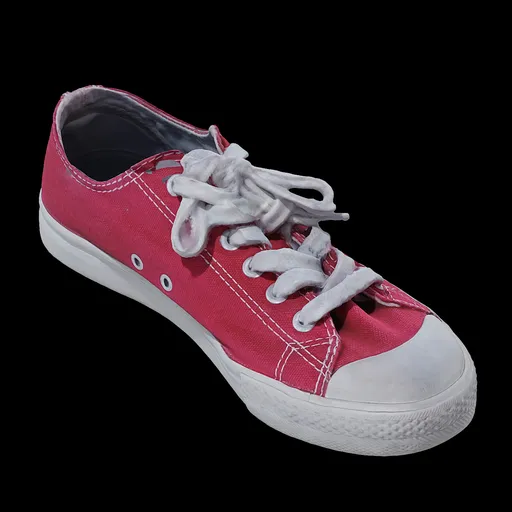 Scan shoe11