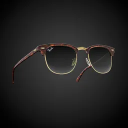 RayBan Clubmaster Horn