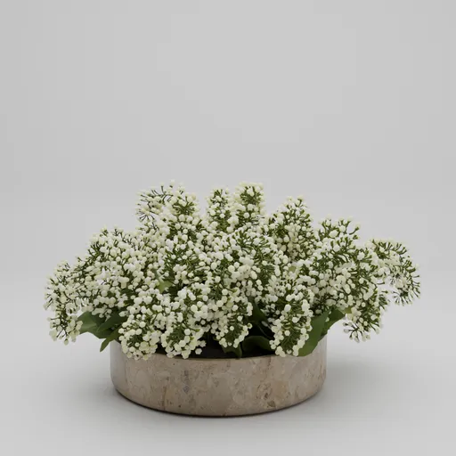 White Flower in Stone Planter