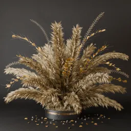 SJ-exterior pampas decor