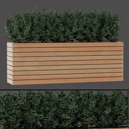 Modern Wooden Planter Plant
