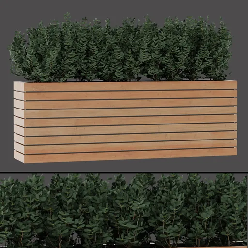 Modern Wooden Planter Plant