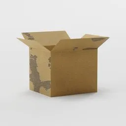 Worn-out Cardboard Box