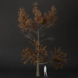 SJ-Foggy Peak Pine Tree