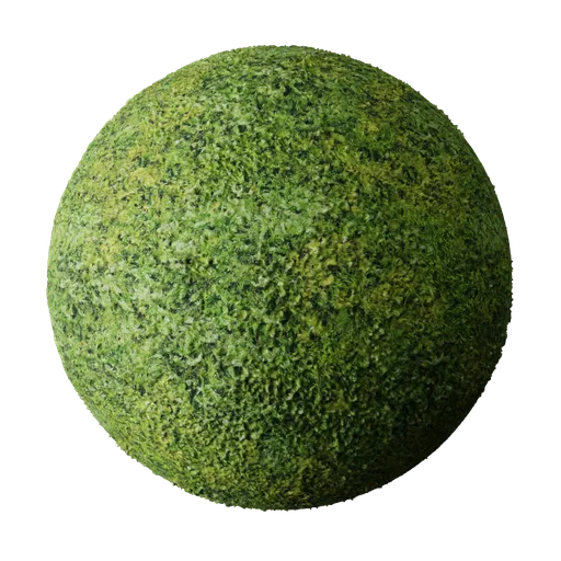 Moss