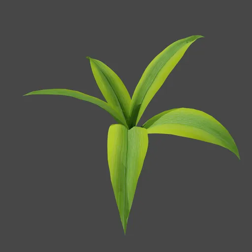 Green Grass Leafs