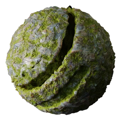 Tropical Rock