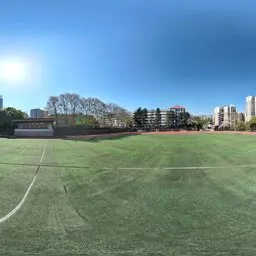 Bluesky Playground Green Grass