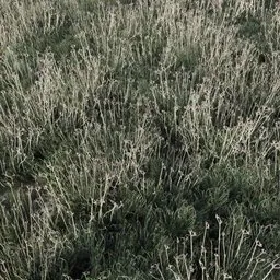 Detailed 3D model of tall grass with red flowers optimized for Blender, suitable for game environments.