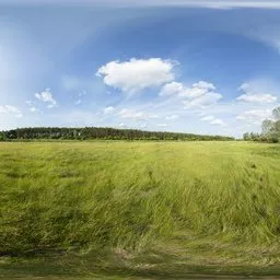 Narew Field, 20k, unclipped sun