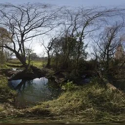 Stream