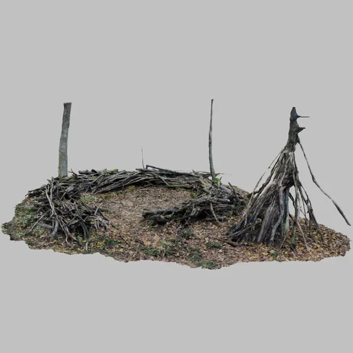 Forest ground with dead wood campsite