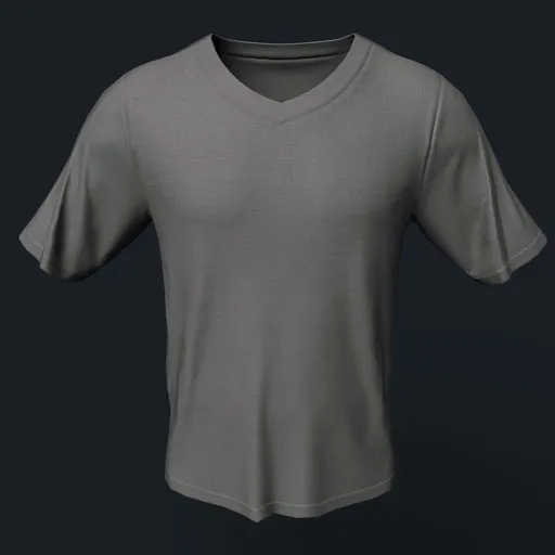 Gray V-neck T-shirt