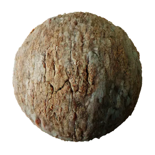 Tree Bark