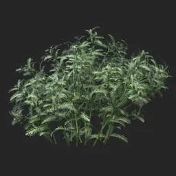 Silver Green Feather Leaf Simple Plant