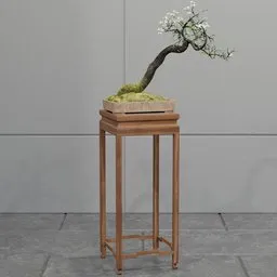 Windswept Blossom Bonsai