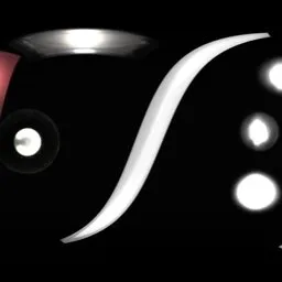 Hdrlight black white studio