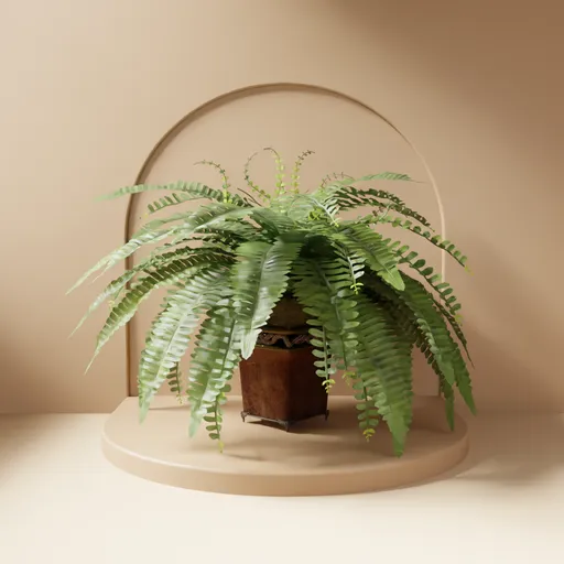 Lush green fern plant