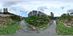 River Green Grass Tree