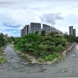 River Green Grass Tree