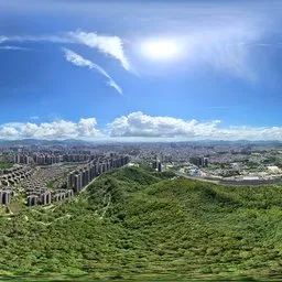 Highsky cloud tree green