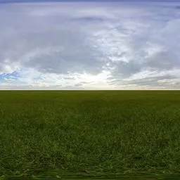 Green grass cloudy blue sky pure sky