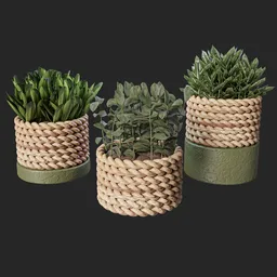 Tabletop plant set