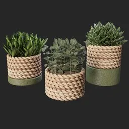 Tabletop plant set