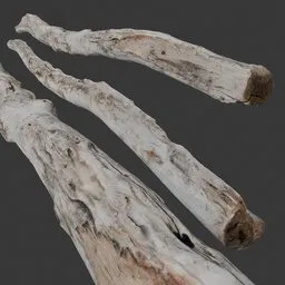 Driftwood Log