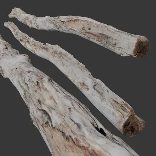 Driftwood Log