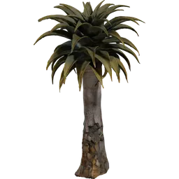Quiver Tree