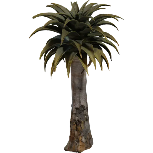 Quiver Tree