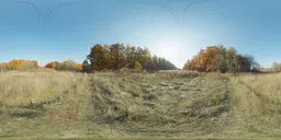 360-degree HDR panorama of a sunlit autumn meadow with seasonal trees for realistic scene lighting.