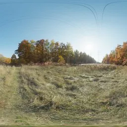 Autumn Meadow