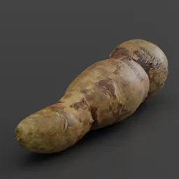 Highly detailed Yucca 3D model with 4K textures, perfect for Blender rendering and visualization.